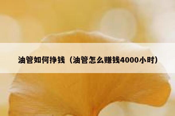油管如何挣钱（油管怎么赚钱4000小时） 第1张