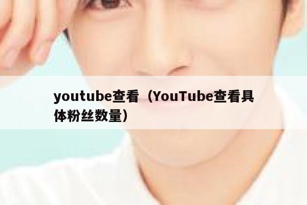 youtube查看（YouTube查看具体粉丝数量） 第1张