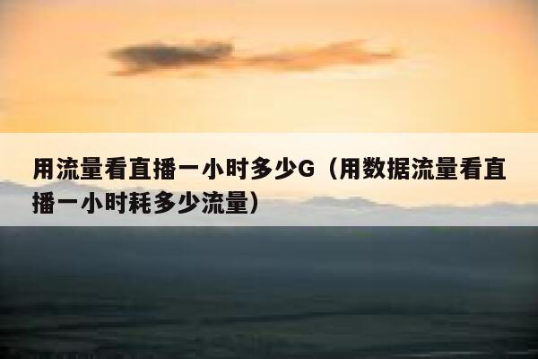 用流量看直播一小时多少G（用数据流量看直播一小时耗多少流量） 第1张