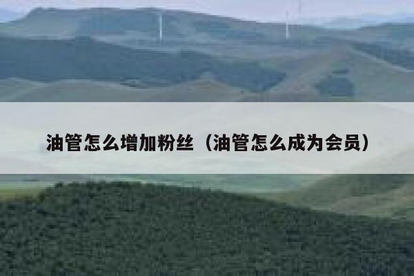 油管怎么增加粉丝（油管怎么成为会员） 第1张
