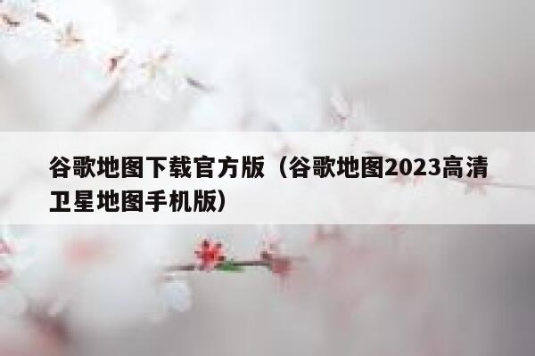 谷歌地图下载官方版（谷歌地图2023高清卫星地图手机版） 第1张
