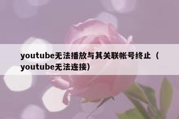 youtube无法播放与其关联帐号终止（youtube无法连接） 第1张