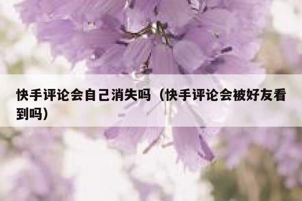 快手评论会自己消失吗（快手评论会被好友看到吗） 第1张