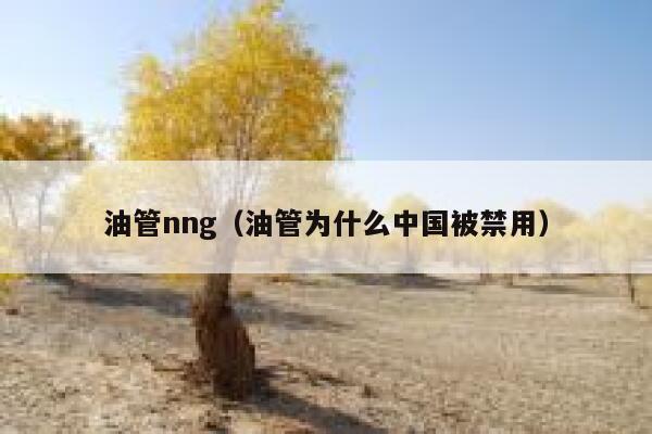油管nng（油管为什么中国被禁用） 第1张