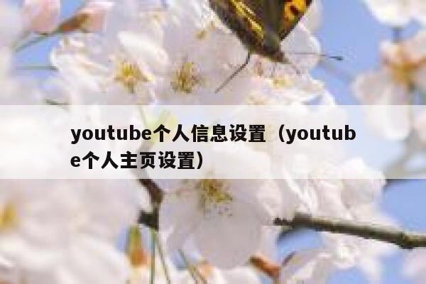 youtube个人信息设置（youtube个人主页设置） 第1张