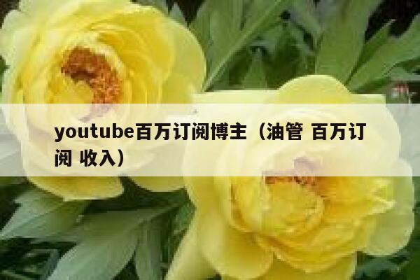 youtube百万订阅博主（油管 百万订阅 收入） 第1张