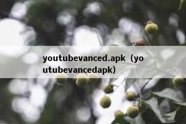youtubevanced.apk（youtubevancedapk） 第1张