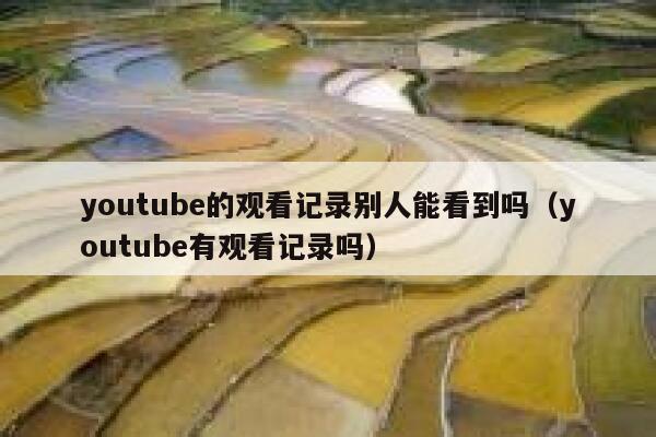 youtube的观看记录别人能看到吗（youtube有观看记录吗） 第1张