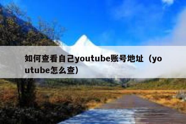 如何查看自己youtube账号地址（youtube怎么查） 第1张