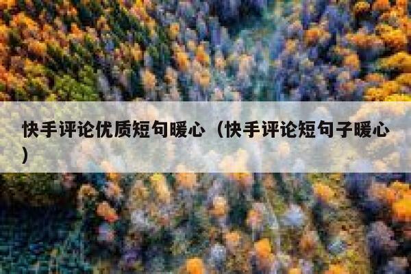 快手评论优质短句暖心（快手评论短句子暖心） 第1张