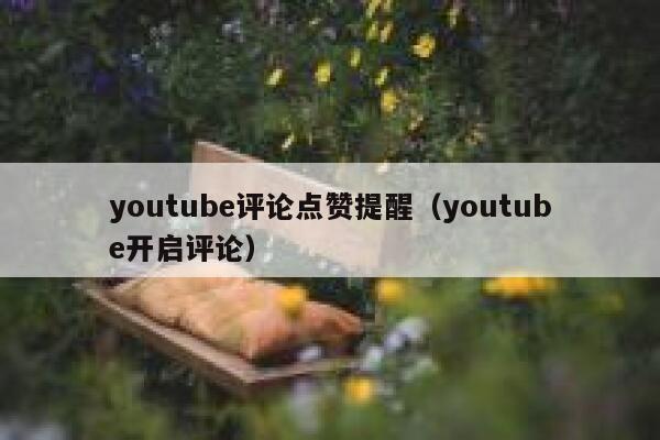 youtube评论点赞提醒（youtube开启评论） 第1张