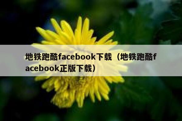 地铁跑酷facebook下载（地铁跑酷facebook正版下载） 第1张