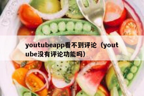 youtubeapp看不到评论（youtube没有评论功能吗） 第1张