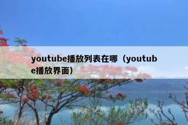 youtube播放列表在哪（youtube播放界面） 第1张
