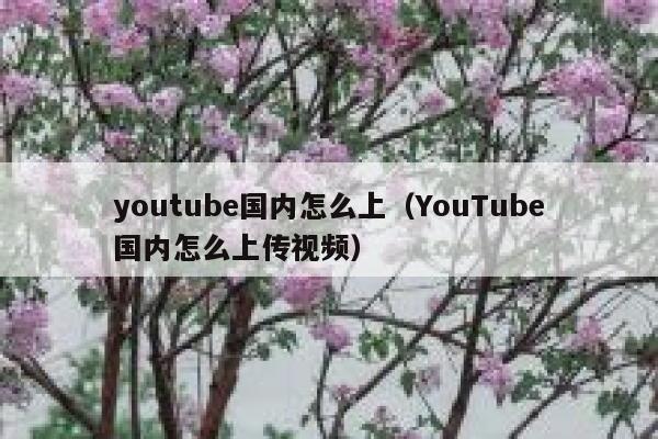 youtube国内怎么上（YouTube国内怎么上传视频） 第1张