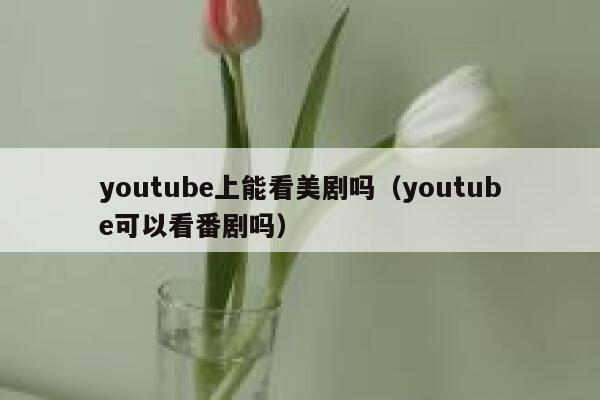 youtube上能看美剧吗（youtube可以看番剧吗） 第1张