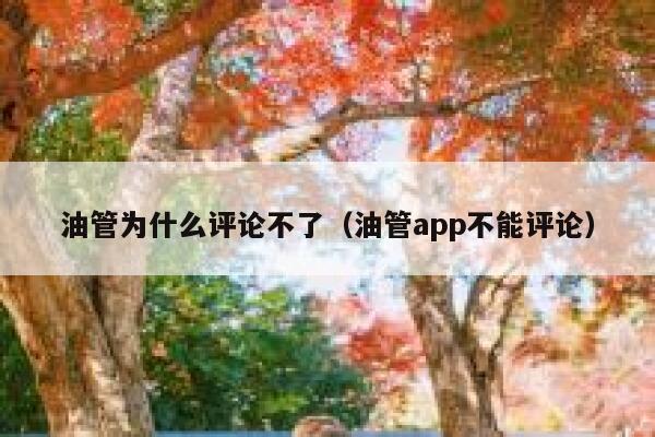 油管为什么评论不了（油管app不能评论） 第1张