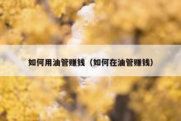 如何用油管赚钱（如何在油管赚钱） 第1张