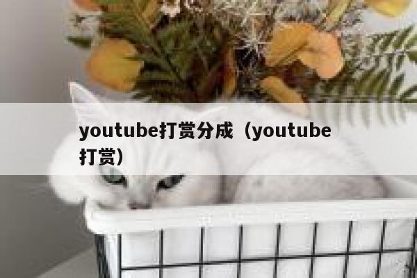 youtube打赏分成（youtube 打赏） 第1张