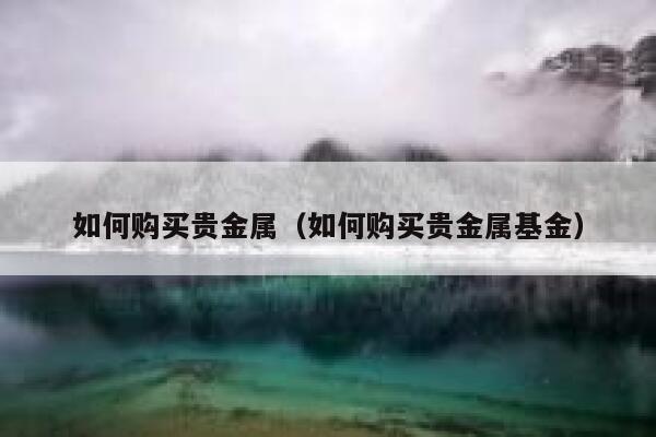 如何购买贵金属（如何购买贵金属基金） 第1张