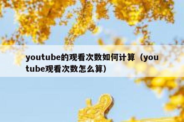 youtube的观看次数如何计算（youtube观看次数怎么算） 第1张