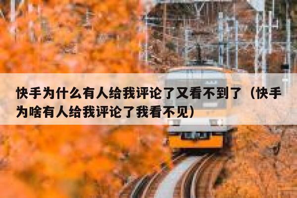 快手为什么有人给我评论了又看不到了（快手为啥有人给我评论了我看不见） 第1张