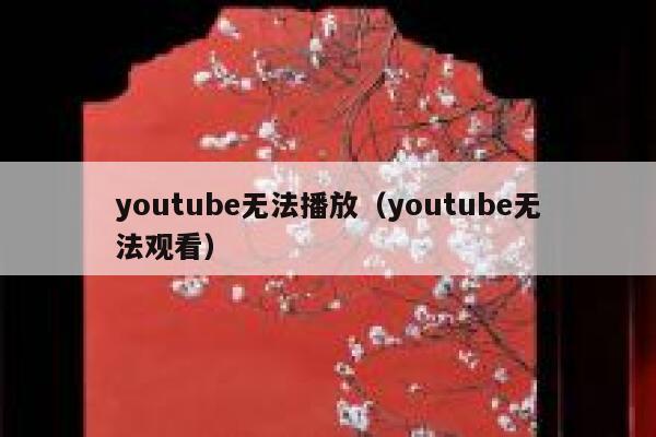 youtube无法播放（youtube无法观看） 第1张