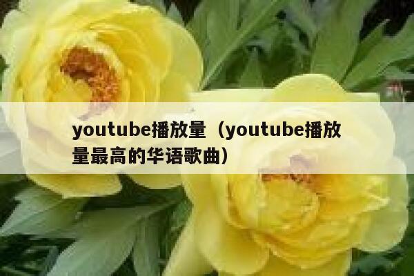 youtube播放量（youtube播放量最高的华语歌曲） 第1张