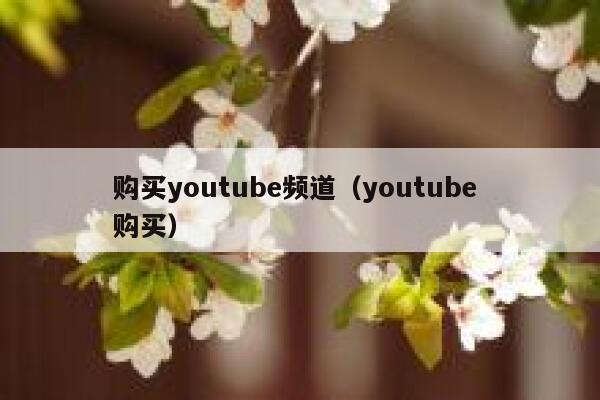购买youtube频道（youtube 购买） 第1张