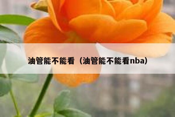 油管能不能看（油管能不能看nba） 第1张