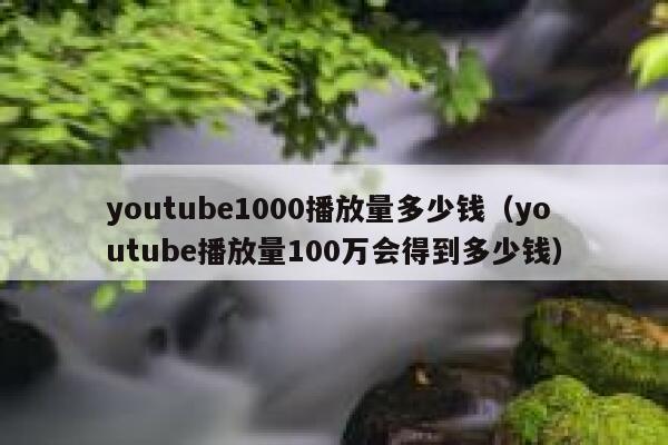 youtube1000播放量多少钱（youtube播放量100万会得到多少钱） 第1张