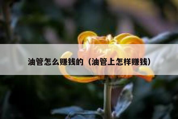 油管怎么赚钱的（油管上怎样赚钱） 第1张