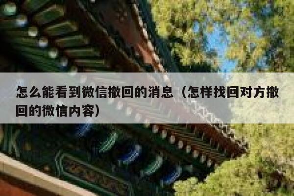 怎么能看到微信撤回的消息（怎样找回对方撤回的微信内容） 第1张