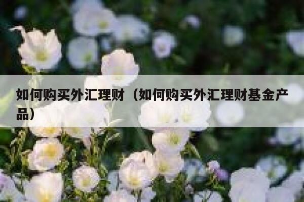 如何购买外汇理财（如何购买外汇理财基金产品） 第1张