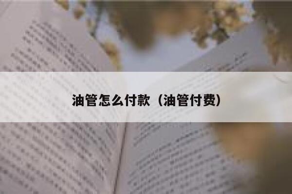 油管怎么付款（油管付费） 第1张
