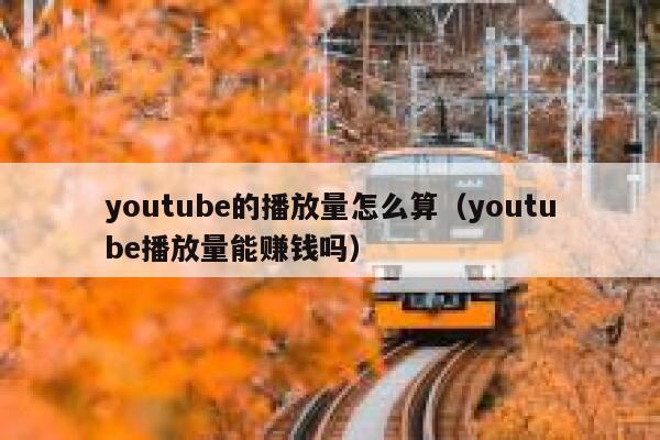 youtube的播放量怎么算（youtube播放量能赚钱吗） 第1张