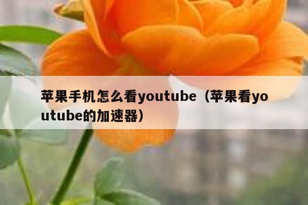 苹果手机怎么看youtube（苹果看youtube的加速器） 第1张