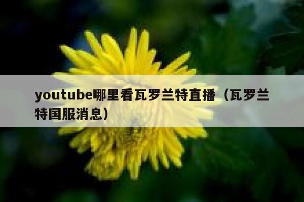 youtube哪里看瓦罗兰特直播（瓦罗兰特国服消息） 第1张