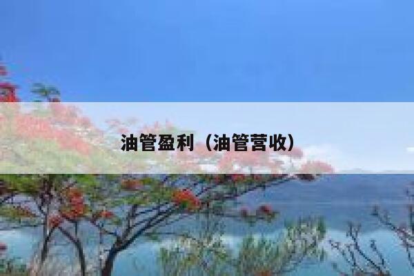 油管盈利（油管营收） 第1张
