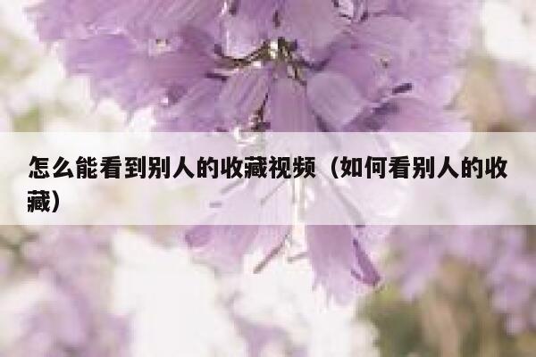 怎么能看到别人的收藏视频（如何看别人的收藏） 第1张