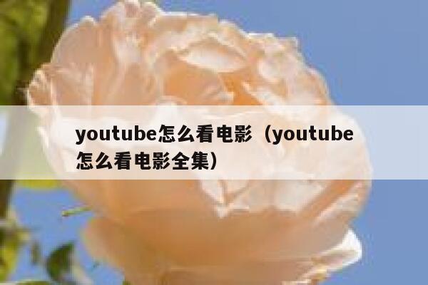 youtube怎么看电影（youtube怎么看电影全集） 第1张