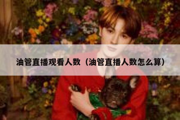 油管直播观看人数（油管直播人数怎么算） 第1张
