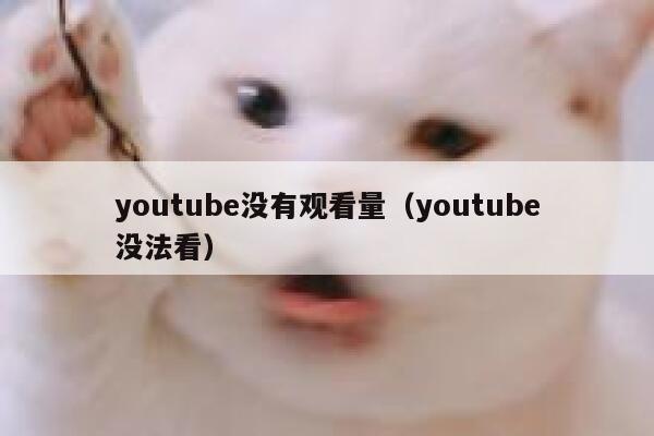 youtube没有观看量（youtube没法看） 第1张