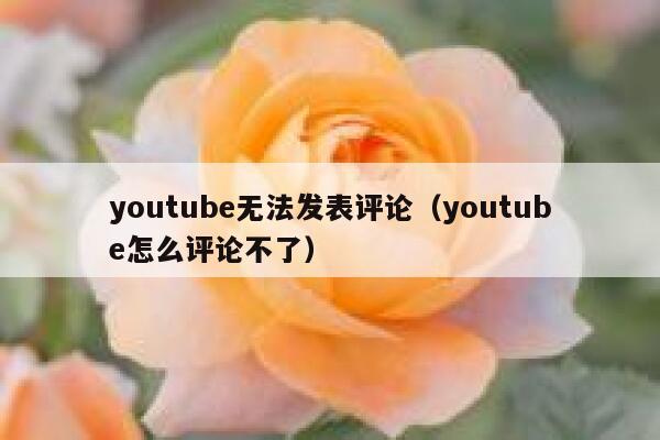 youtube无法发表评论（youtube怎么评论不了） 第1张