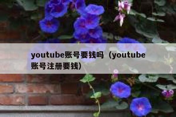 youtube账号要钱吗（youtube账号注册要钱） 第1张