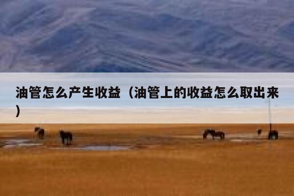 油管怎么产生收益（油管上的收益怎么取出来） 第1张