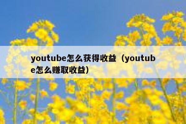 youtube怎么获得收益（youtube怎么赚取收益） 第1张