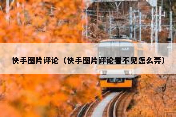 快手图片评论（快手图片评论看不见怎么弄） 第1张
