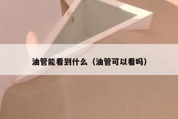 油管能看到什么(油管可以看吗) 第1张 油管能看到什么(油管可以看吗) 第1张