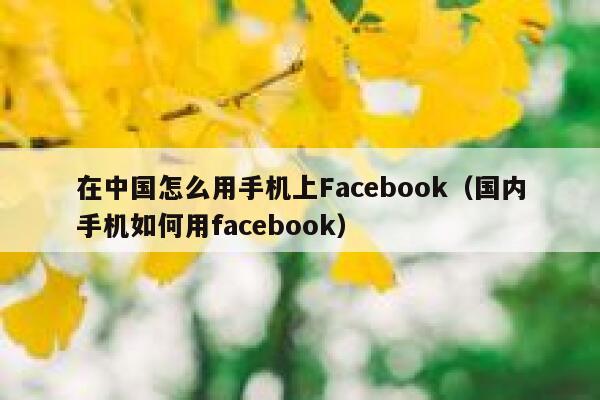 在中国怎么用手机上Facebook(国内手机如何用facebook) 第1张 在中国怎么用手机上Facebook(国内手机如何用facebook) 第1张